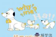 屬狗什么時辰出生命苦