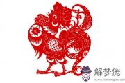 生肖雞最吸引人的地方