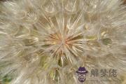 甲辰乙巳覆燈火詳解 64/65屬龍屬蛇覆燈火命運