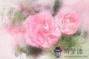 己巳日生于卯月解析 己巳日生于卯月命運好嗎