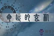 什么是釵釧金命？釵釧金命適合發展什么行業？