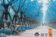 八字食神多的人好不好