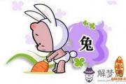 屬兔人2014年桃花運是怎樣的