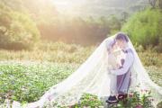 算命己酉日生怎么看婚姻