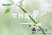 神準的測試命運工具 出生年月日測試命運