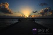 大海水常見疾病？大海水常見疾病怎么養