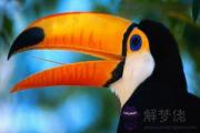 爐中火紋身紋什么好？