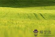 乙巳日與庚戌日配嗎 乙巳日柱與庚戌日柱是否適合