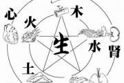 脾胃不好如何通過五行調理