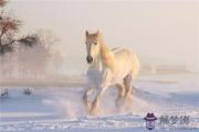 馬對應的天干及性格