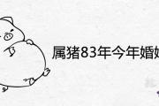 屬豬83年今年婚姻離婚是真的嗎 2021年婚戀運勢如何