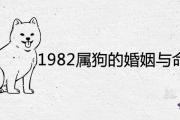 1982屬狗的婚姻與命運如何