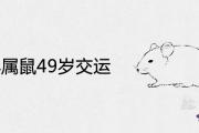 72年屬鼠49歲交運是真的嗎 2021年運氣怎麼樣