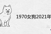 1970女狗2021年運勢詳細解析