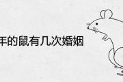 1960年的鼠有幾次婚姻 一生感情運勢如何
