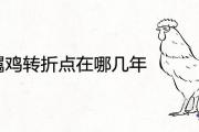1981屬雞轉折點在哪幾年 一生轉運大運時間