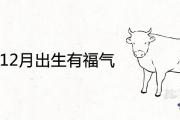 屬牛12月出生有福氣為什麼
