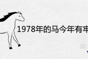 1978年的馬今年有牢獄之災 2021年流年運勢是吉是兇