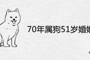 70年屬狗51歲婚姻運勢如何