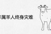 91年屬羊人終身災難在哪一年