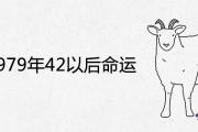 屬羊1979年42以后命運如何
