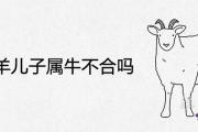 我屬羊兒子屬牛不合嗎 如何化解最合適