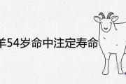 67年屬羊54歲命中注定壽命如何