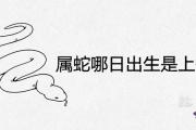 屬蛇哪日出生是上等之命