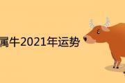 六一年屬牛2021年運勢及每月運程