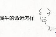 37年屬牛的命運怎樣 壽命有多長