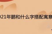 2021年鵬和什麼字搭配寓意好有涵養
