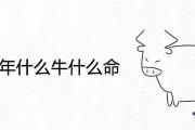 2021年什麼牛什麼命