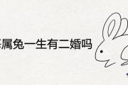 1975每屬兔一生有二婚嗎 感情婚姻怎麼樣