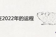 屬鼠在2022年的運程是怎麼樣