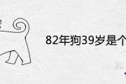 82年狗39歲是個劫嗎 2021年的婚姻狀況
