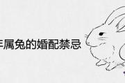 2021年屬兔的婚配禁忌有哪些 犯克屬相是什麼