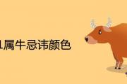 2021屬牛忌諱顏色 屬牛的終身幸運色