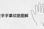 男人左手手掌紋路圖解