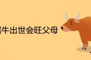 2021屬牛出世會旺父母嗎 一生命格運勢如何
