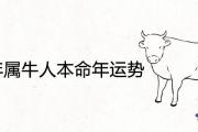 2021年屬牛人本命年的運勢如何