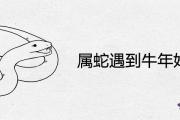 屬蛇遇到牛年好不好
