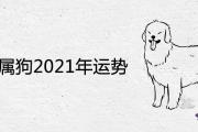 94年屬狗2021年運勢及姻緣詳細解析