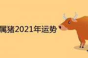 1971年屬豬2021年全年運勢詳解 50歲有一災是真的嗎