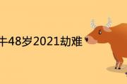 73年屬牛48歲2021劫難有哪些 運程如何