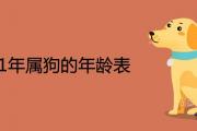 2021年屬狗的年齡表 出生年份表查詢