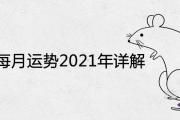72屬鼠每月運勢2021年詳解分析