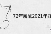 72年屬鼠2021年好不好 49歲有一災能不能過去