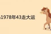 屬馬1978年43走大運是真的嗎 2021年運勢如何