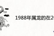 1988年屬龍的在2021年怎麼樣