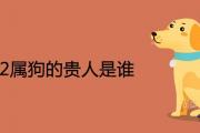1982屬狗的貴人是誰 2021年遇到誰會大富大貴